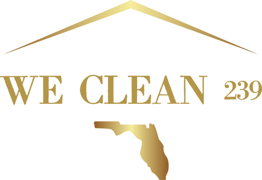 we-clean-gold-512